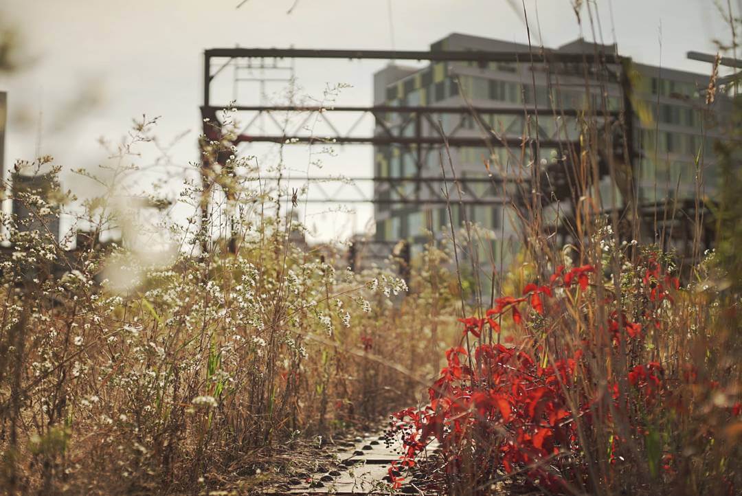 Instagram 7